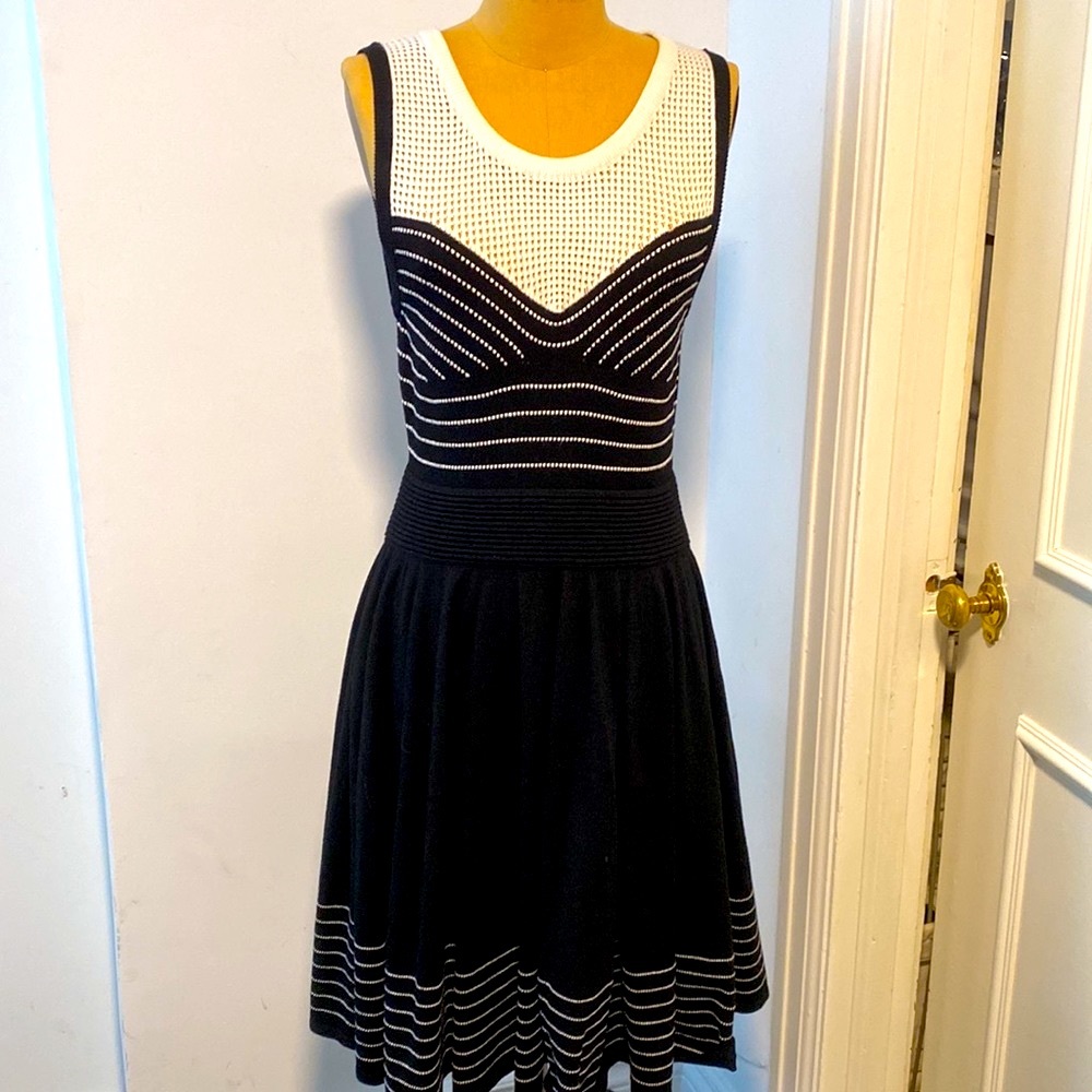 Milly Stripe Knit Dress